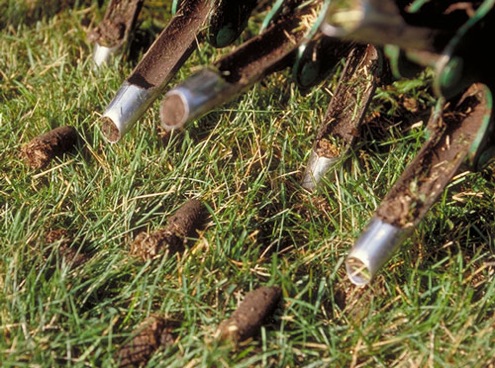 lawn-maintenance-fall Fall Lawn Maintenance - Aeration