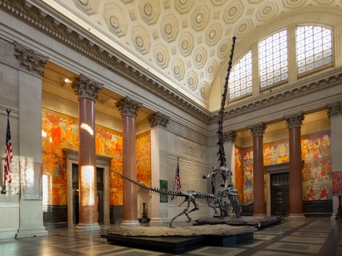 AMNHD-Roosevelt-Main-Hall-2 Theodore Roosevelt Memorial Renovation - Main Entrance Hall