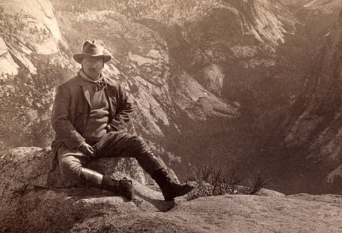 Roosevelt-Yosemite Teddy Roosevelt Memorial Renovation