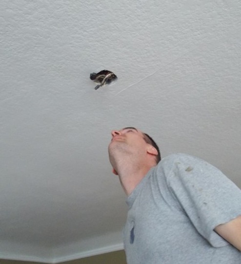 Ceiling Box Framing a Switch Box - Ceiling Box