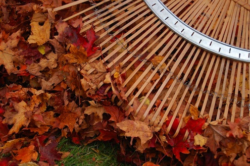 believejay.blogspot-leaf-rake Rake Types - Leaf Rake