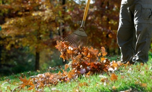 canbercorp-raking-fall-leaves Rake Types