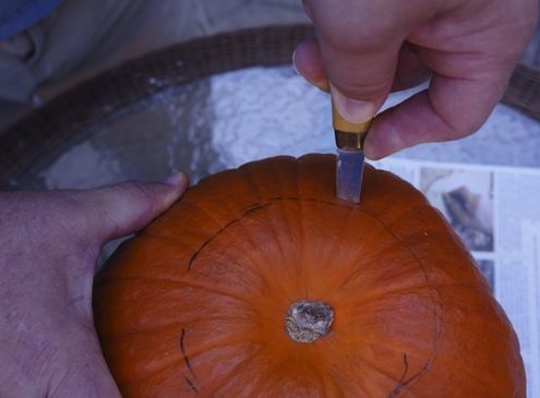 Bottom of Pumpkin Pumpkin Carving