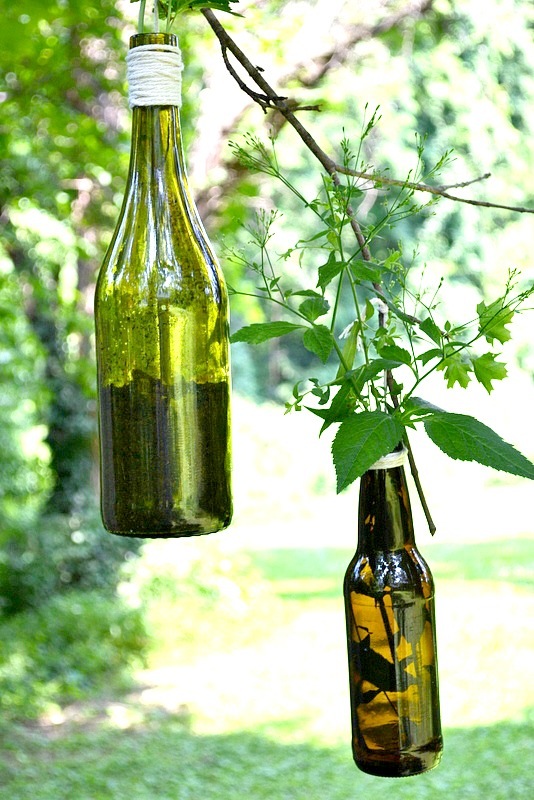 Wine Bottle DIY - Planter