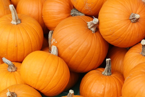 Pumpkins Pumpkin Carving 101