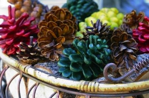 Pine Cone DIY