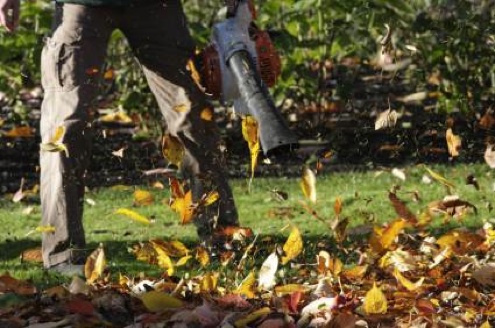 leaf-blower-blowing How to Use a Leaf Blower