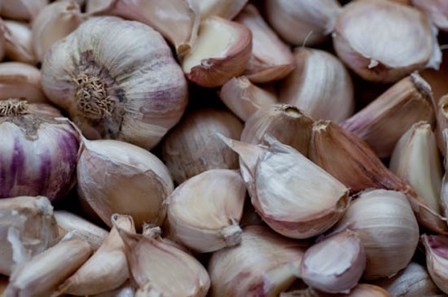 planting-garlic How and When to Plant Garlic