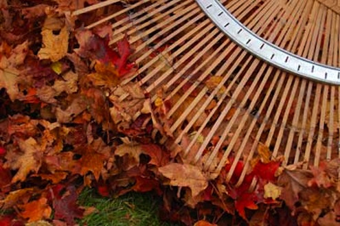 Leaf Rake