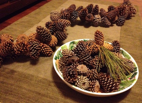 Pine Cone Garland How To
