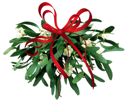 where to find mistletoe bob vila where to find mistletoe bob vila