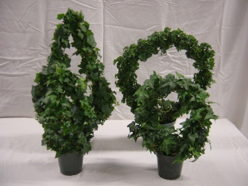 how-to-make-tabletop-topiaries-angel-ivy How to Make Tabletop Topiaries - Angel Ivy