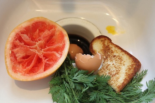 garbage-disposal-care-dos-and-donts Garbage Disposal Care - Dos and Donts