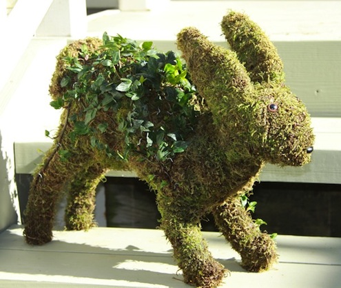 how-to-make-tabletop-topiaries-ivy-and-moss How to Make Tabletop Topiaries - Ivy and Moss