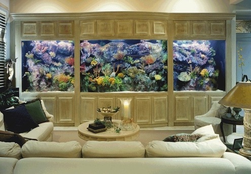 Built-In Aquarium