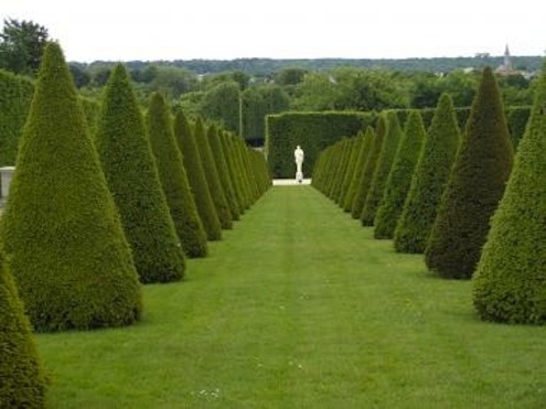 how-to-make-tabletop-topiaries-versailles How to Make Tabletop Topiaries - Versailles