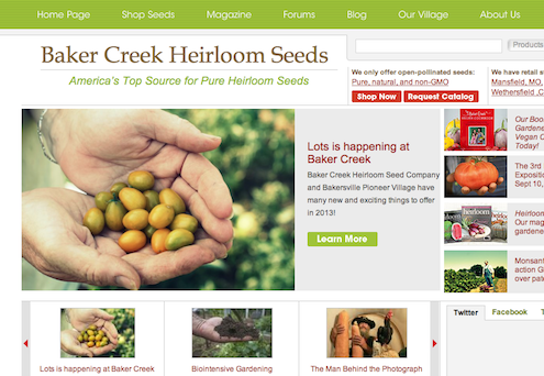 online-vendors Buy Seeds - Online Vendors