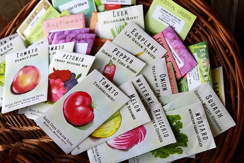 seed-packets Buy Seeds - Seed Packets