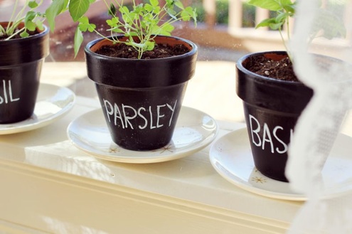 grow-herbs-indoors-chalkboard-painted-pots Grow Herbs Indoors - Chalkboard Painted Pots