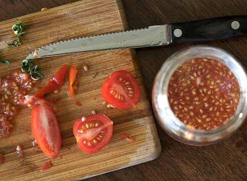 start-tomatoes-from-seed-saving-seeds Start Tomatoes from Seed - Saving Seeds