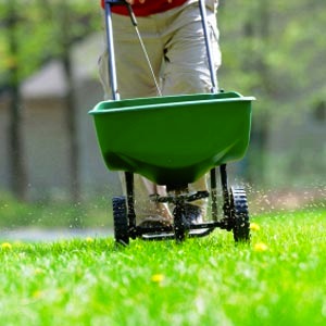 spreader Fertilizing Grass - Spreader