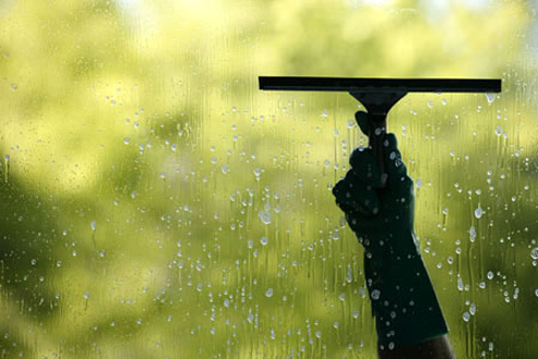 squeege How to Clean Windows - Squeege