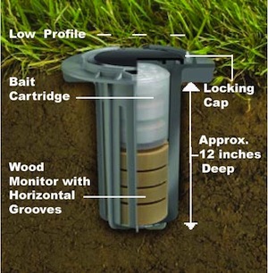 baits Termite Infestation - Baits