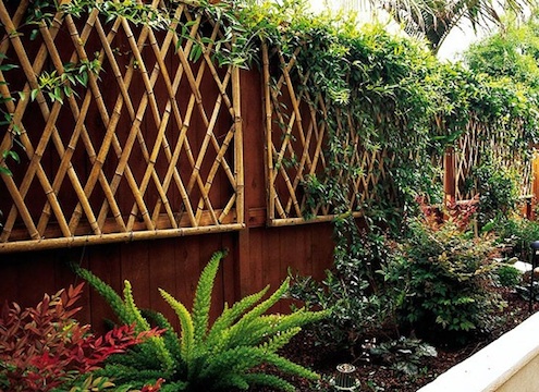 trellis Landscaping with Bamboo - Trellis