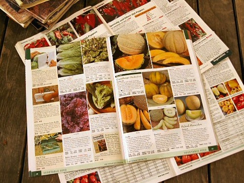 seed-catalogs Buy Seed - Seed Catalogs