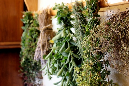 hanging Drying Herbs - Hanging