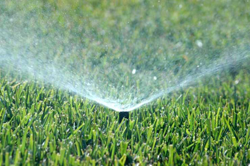 watering-the-lawn Watering the Lawn