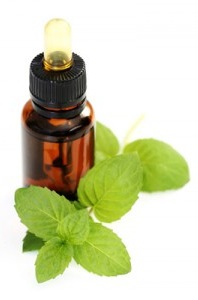 peppermint-oil Apartment Pest Control - Peppermint Oil
