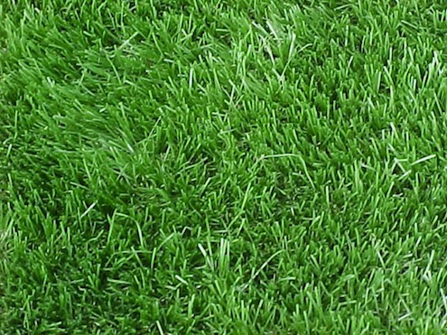artificial-turf Grass Alternatives - Artificial Turf