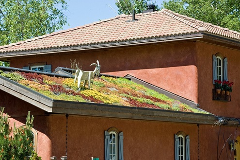 mediterranean-house Green Roofs - Mediterranean House