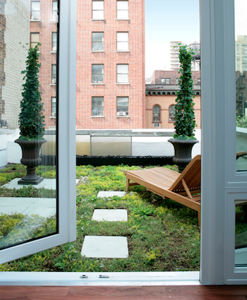living-roof Gleicher Sharkey Townhouse - Living Roof