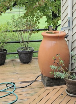 distribution Rainwater Harvesting - Distribution