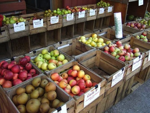 varieties Heirloom Apple Trees - Varieties