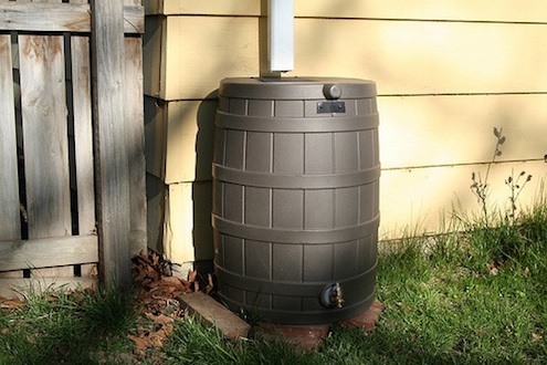 barrel Harvesting Rainwater - Barrel