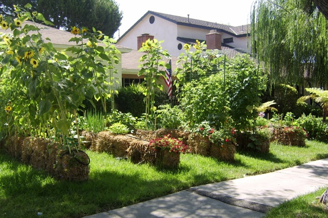 front-yard-containers Make a Straw Bale Planter - Front Yard Containers