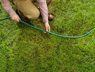 perimeter How to Make Concrete Garden Edging - Perimeter