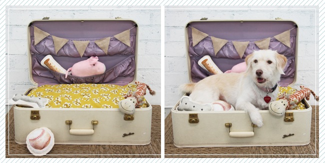 dog-bed Luggage DIY Projects - Dog Bed