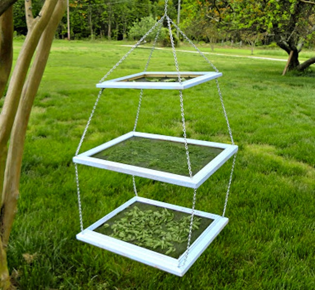 herb-drying-rack Repurpose Frames - Herb Drying Rack
