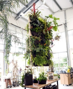 indoors Vertical Gardens - Indoors
