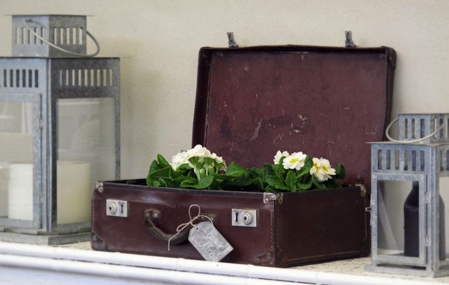planter Luggage DIY Projects - Planter