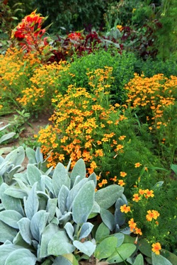 flowerbed Keeping a Garden Journal - Flowerbed