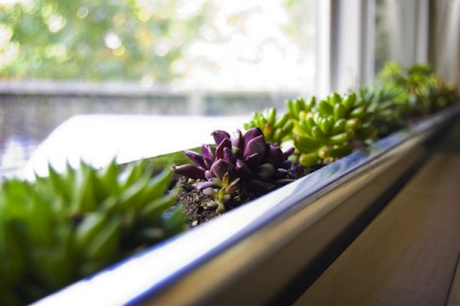 window-box Curb Appeal Projects - Window Box
