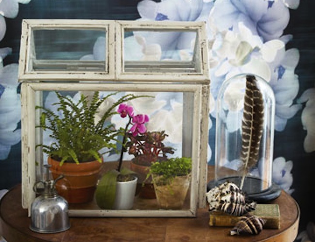 terrarium Repurpose Frames - Terrarium