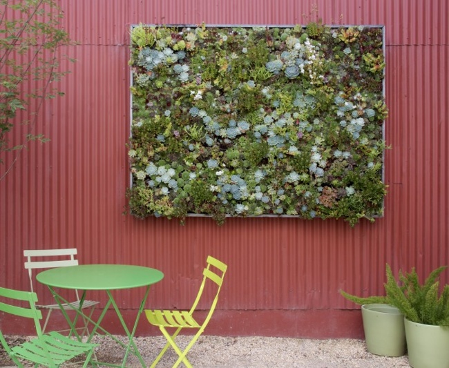 succulents Vertical Gardens - Succulents
