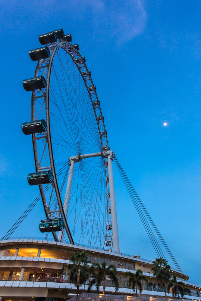 Singapore flyer_311880893