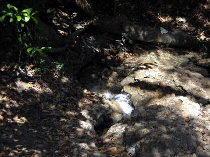 Water is a precious commodity in Haiti. Thomassique’s water originates at this spring, which is about 17 kilometers to the east, and an aqueduct carries it into town. This water is not safe to drink.